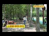 행복전도사, 최효종의<br> 