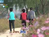 서울 올레길 2편 - 한강 가을 꽃길을 걸어보자!
