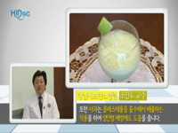 사과 레몬 주스