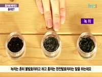홍차편 - 홍차，이것만은 알아 두자 (1)