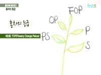 홍차편 - 홍차의 등급 (2)