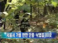서울서 가볼 만한 단풍-낙엽길 80곳