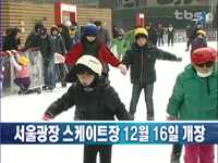 서울광장 스케이트장 12월 16일 개장