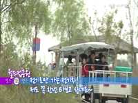 [전국편] 월드컵공원 VS 청주 문암생태공원