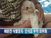 애완견 식별장치.인식표 부착 의무화