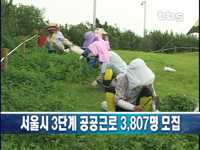 서울시 3단계 공공근로 3,807명 모집