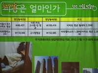 청년 서울을 만나다