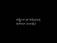 동물인권 논쟁의 주인공의, 제돌이를 아시나요?