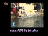 SBS [TV동물농장]  제돌이의 행복한 이별~ 