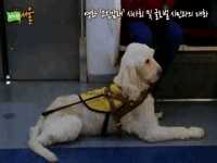 영화 ‘고진감래’ 시사회 및 글로벌 시민과의 대화 1부