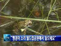 맹꽁이 소리 월드컵공원에서 들으세요