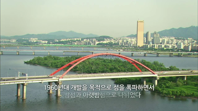 밤섬 생태계