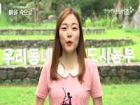 마을공동체 마을속으로 - 서초구 우리동네 도시농부