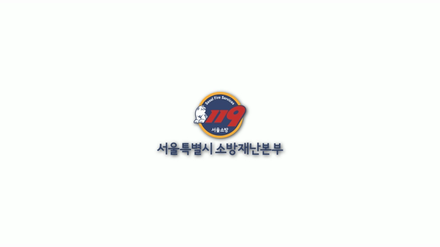 2015년 서울소방의 성과