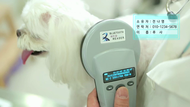동물등록제 홍보용 동영상