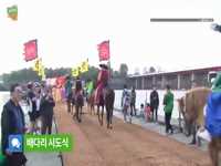 정조대왕 능행차 공동재현
