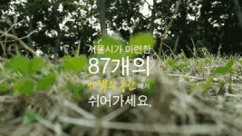 지친 당신을 위로하고 힐링하기 위한 공간, 서울 사색 공간 87