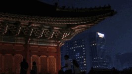 낭만을 부르는 빛의 향연, 덕수궁의 아름다운 변신