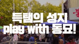 쇼핑의 천국, 득템의 성지! 동묘로 레고!(Let’s Go)