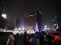 성탄트리가 반겨주는 시청 광장으로! Merry Christmas