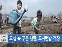 강동구, 도심 속 푸른 낭만, 도시 텃밭 개장 
