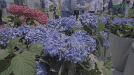 서울로 7017 드디어 베일을 벗다!
