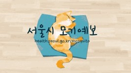 귀여운 고양이의 모기 피하는 방법 서울시 모기 예보제