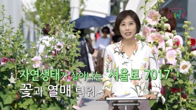 소통방통(17.7.27.목.883회)-(서울로 7017 여름축제 서울로 go 개최)