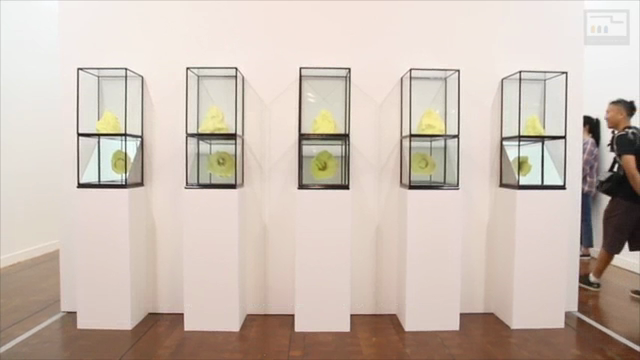 하이라이트