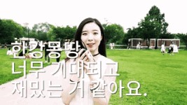 한 여름 밤, 당신의 심장을 뛰게할 한강몽땅 축제