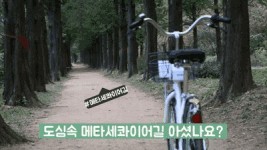 가을나들이, 따릉이 타고 자전거산책 어디까지 해봤니?