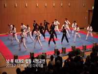 평창동계올림픽 성공기원 남북 태권도 합동공연