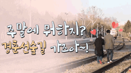 봄향기 가득한 경춘선 기찻길에서 인생샷 건지기