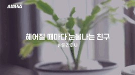 어르신들에게 천사가 되어주는 이름, 방문간호사