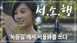 시원한 사이다같은 서울 녹음길에서 더위 날리기!