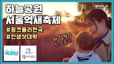 가을 하늘과 환상 궁합! 서울억새축제로 가볼까요?