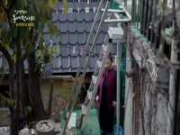 KBS1<김영철의 동네한바퀴>