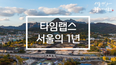 서울의 1년! 파노라마 (2019)
