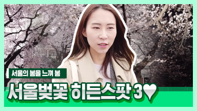 서울벚꽃 히든스팟3 - 벚꽃브이로그 [채널폴리]