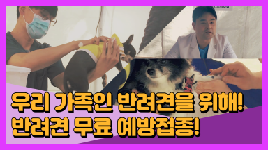 우리 가족인 반려견을 위해! 반려견 무료 예방접종 지원! [한알만]