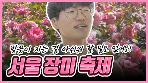 벚꽃보다 더 화려한 장미꽃이 가득한 곳! 서울장미축제! [디딤돌]