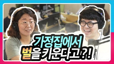 일본 양봉 이야기에 폭발한 최욱! 그가 분노한 이유는?!ㅣ도시양봉 [정영진 최욱의 걱말서]