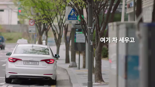 불법 주정차 금지 홍보 20초