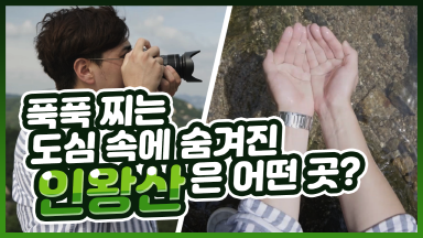 인왕산의 여름 [서울랩스]
