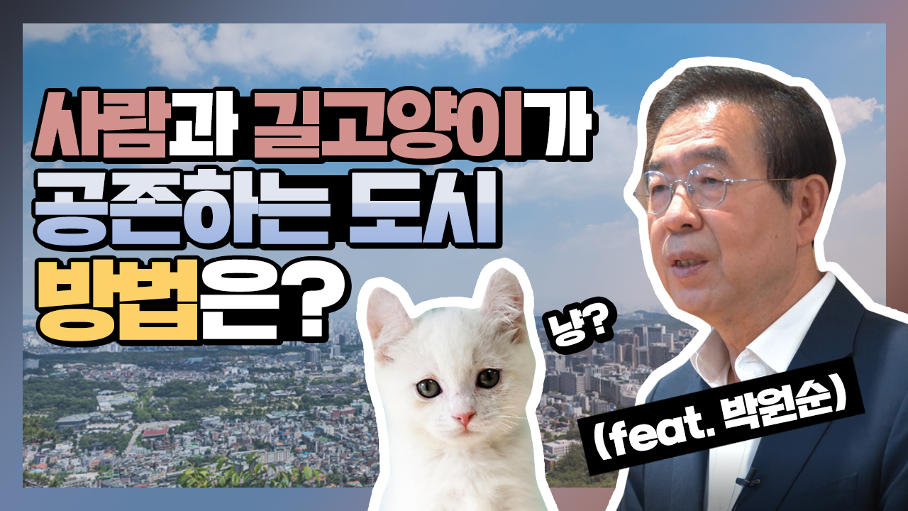 박원순 서울시장, 재건축 단지 사람과 길고양이의 공존을 위한 방법 모색! 어떻게? 