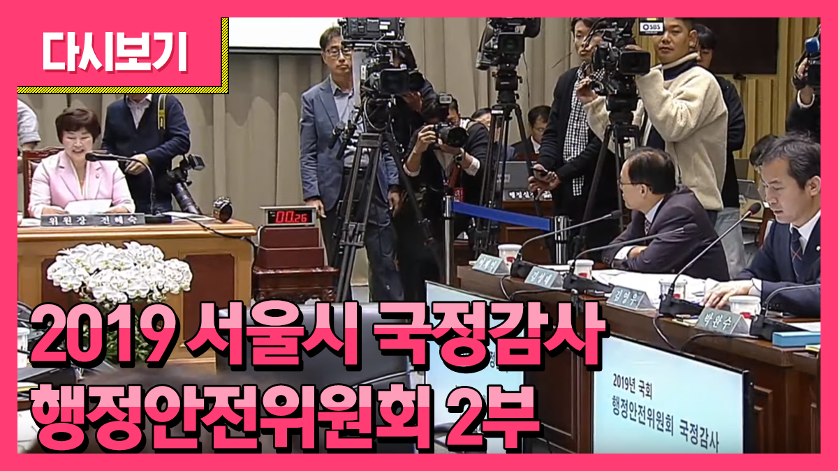 2019 서울시 국정감사 생중계 (행정안전위원회) - 2부