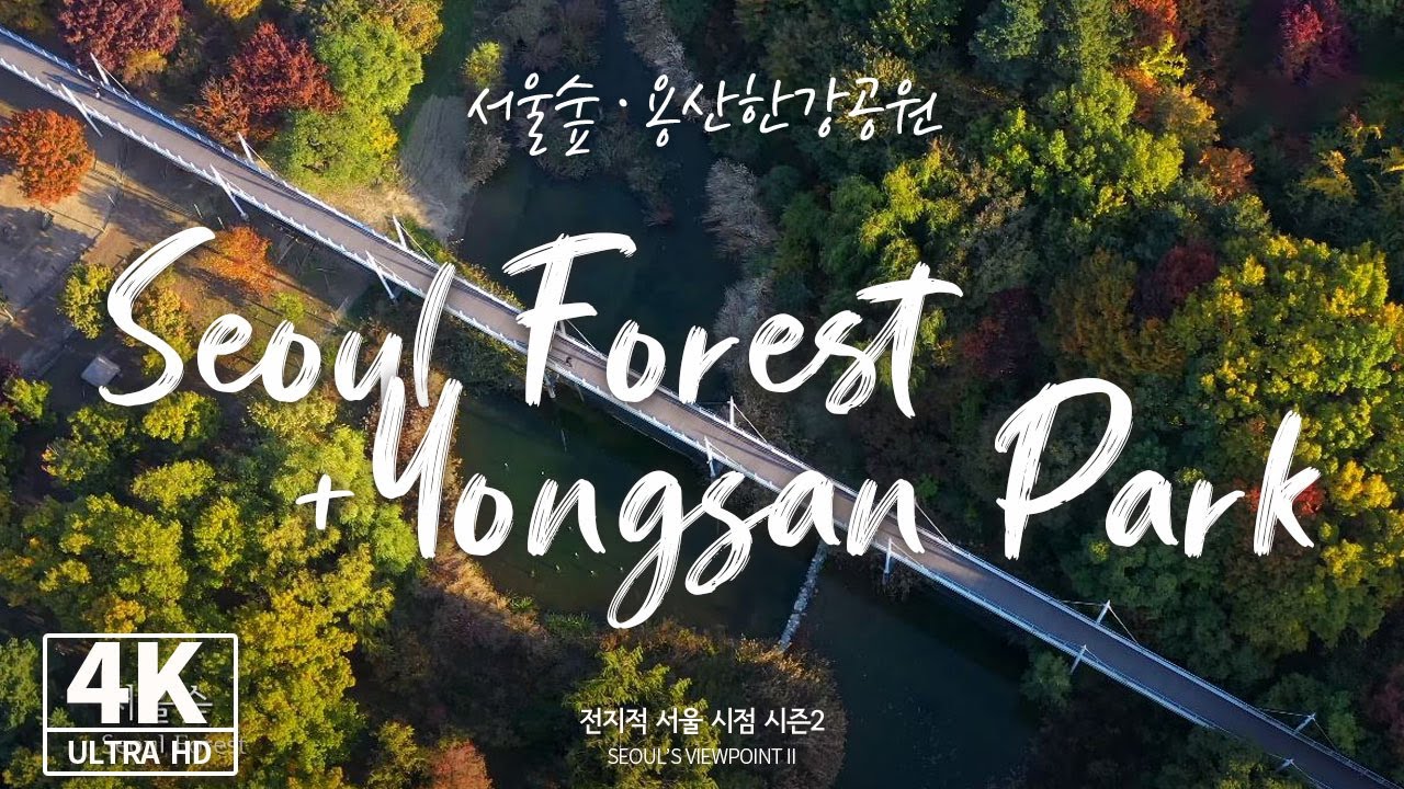 [4K] [Drone] 하늘에서 본 서울숲, 용산가족공원 Seoul Forest + Yongsan Park (전지적서울시점, 드론 영상)