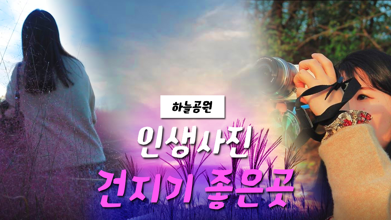 인생사진 건지기 좋은곳. 하늘공원!