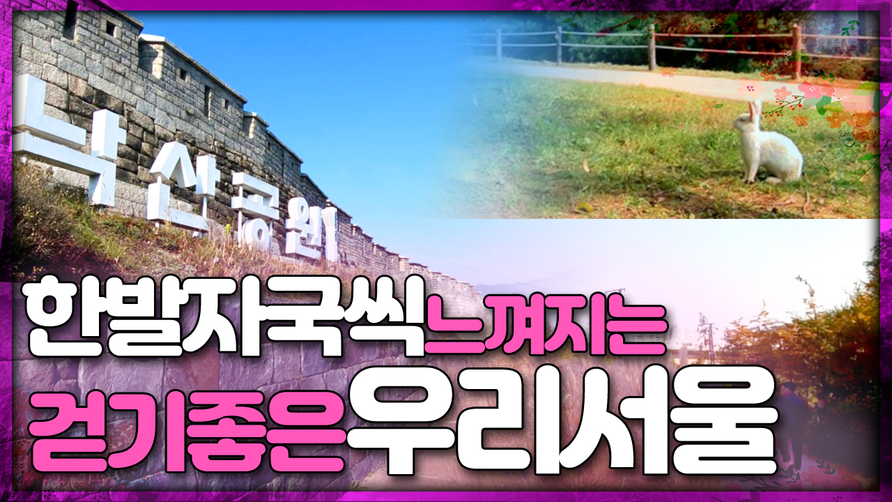 한발자국씩 느껴지는 걷기좋은 우리서울