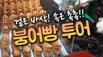겉은 바삭 속은 촉촉 붕어빵 투어